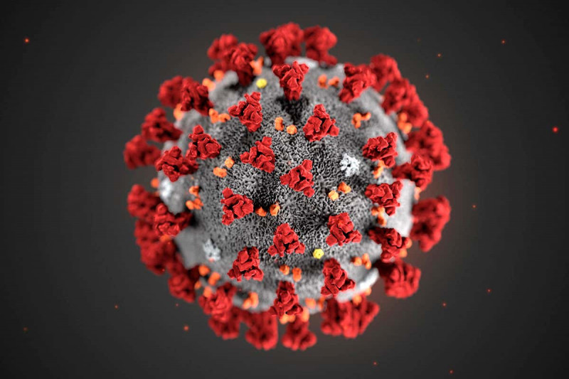 Coronavirus illustration3