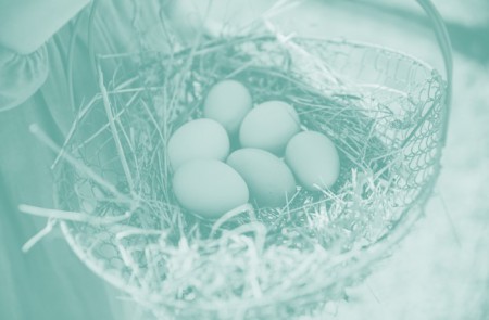 How Do Income Funds Really Work?