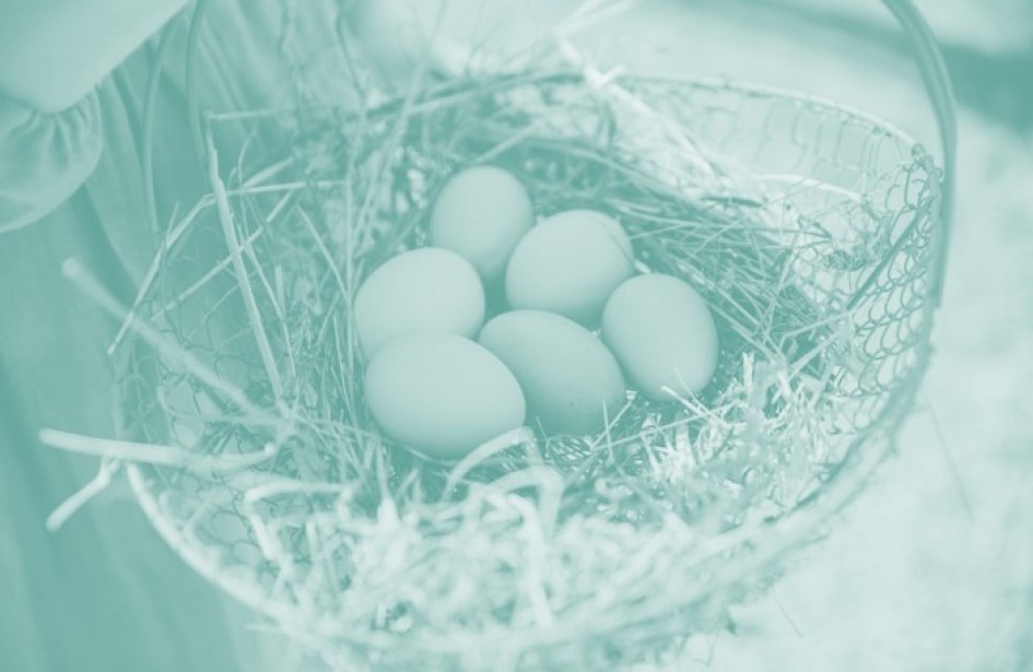 How Do Income Funds Really Work?