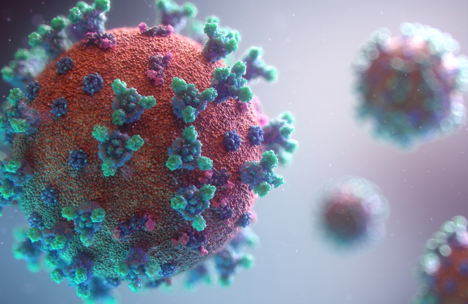fusion medical animation rnr8D3FNUNY unsplash