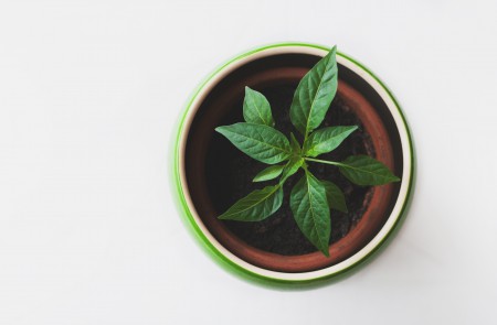 pikwizard f0c6f8921aa7718637d64dfaeddfb053