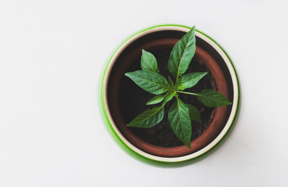 pikwizard f0c6f8921aa7718637d64dfaeddfb053